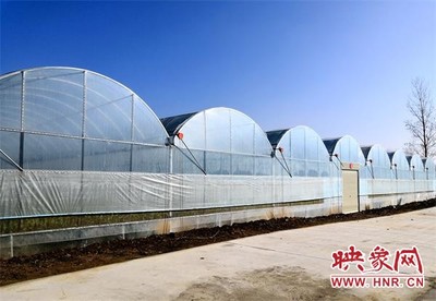 信阳平桥区:春耕生产如火如荼
