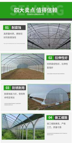 陕西鼎泰鑫 供应蔬菜大棚 蔬菜温室大棚 价格优惠