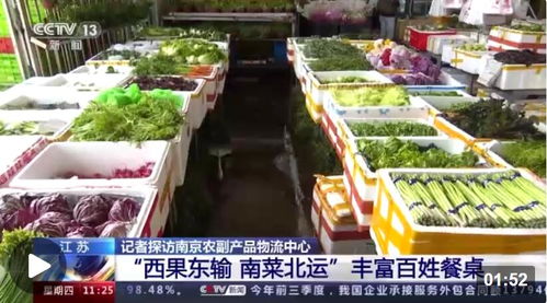 科技赋能 菜篮子 看蔬菜大棚如何变身 绿色车间