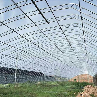 花卉果蔬透光大棚 日光温室大棚 承接各地蔬菜大棚工程价格称心