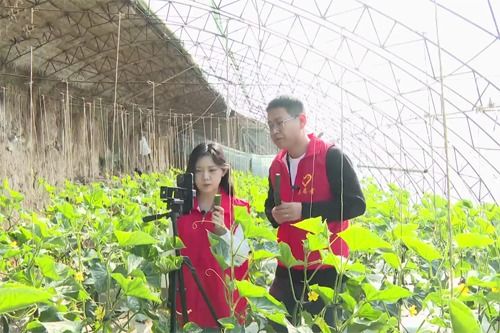平鲁区 大学生直播助农 推动农产品 出圈