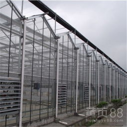 【智能温室造价金澎公司建设智能温室大棚工程智能温室大棚价格】-
