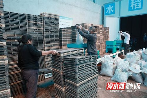 永州冷水滩 春耕备耕 先手棋 已落子
