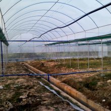 【果蔬温室大棚搭建 塑料大棚多少钱一亩 汕尾农用大棚建设图片】果蔬温室大棚搭建 塑料大棚多少钱一亩 汕尾农用大棚建设