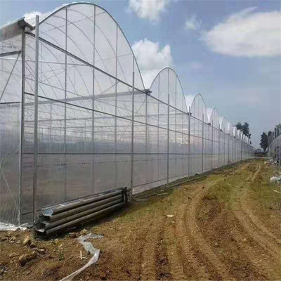 专业快速创建连栋温室大棚连栋薄膜温室大棚建设工程项目安全可靠