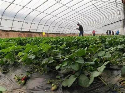 河北人春天必做的9件事!小长假前就能玩遍前5个~