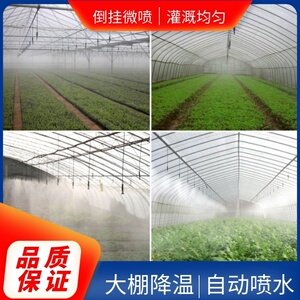 育苗田园灌溉作物迷雾机洒水果蔬大棚喷雾器园艺养花.大面积浇水