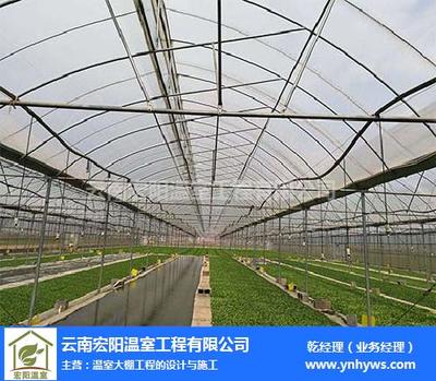 云南蔬菜温室大棚设计厂家-宏阳温室大棚-云南蔬菜温室大棚